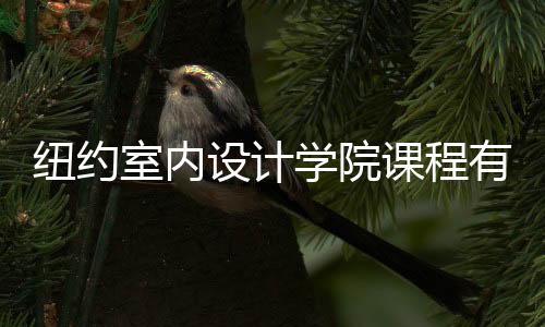 纽约室内设计学院课程有哪些？